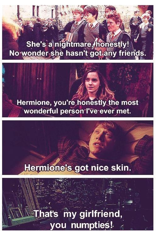 The Harry Potter Movies: The Evolution of Ron and Hermione's Relationship 2
