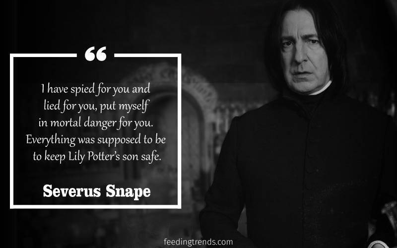 Severus Snape: A Character of Love, Hate, and Redemption 2