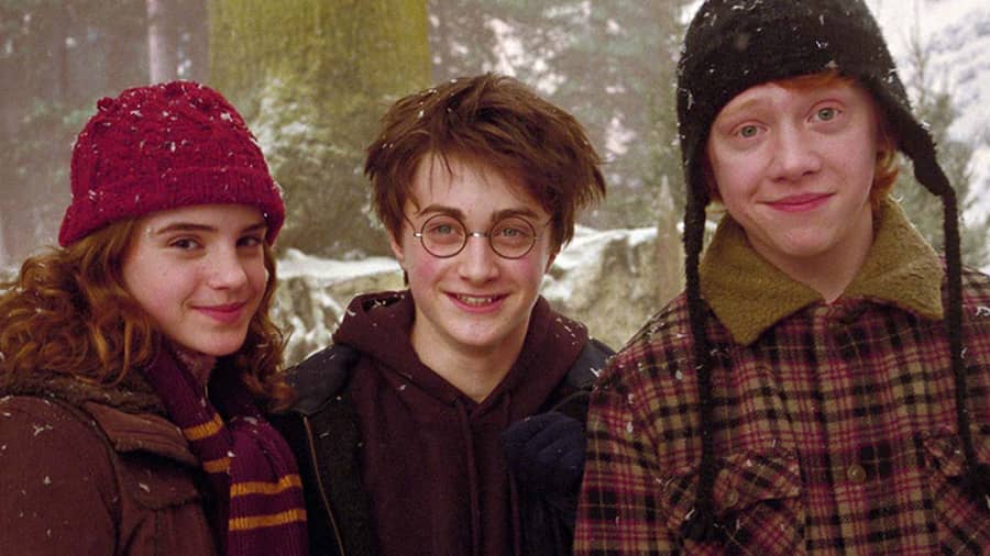 The Harry Potter Cast: Memorable Scenes of Friendship and Loyalty 2