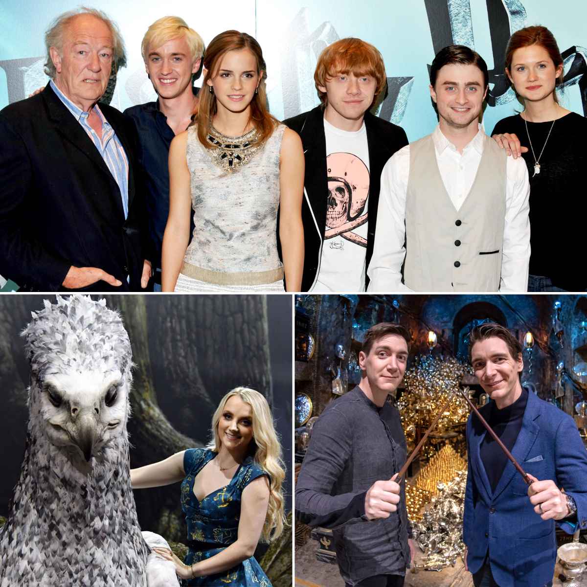 Meet the Cast of Harry Potter: The Wizarding Stars 2