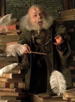 The Hogwarts Professors: Masters Of Magic