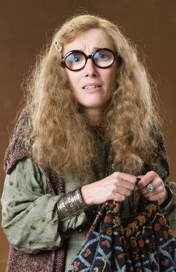Harry Potter Books: The Mysterious And Powerful Prophecies Of Sybill Trelawney
