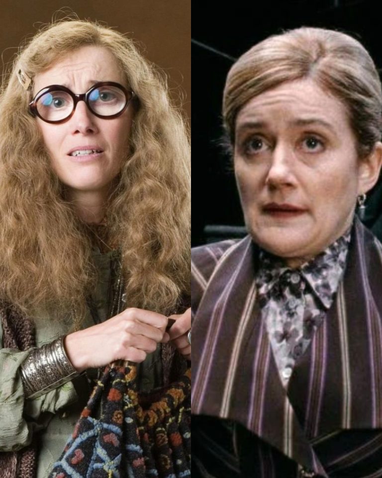 Who Played Sybill Trelawney In The Harry Potter Movies?