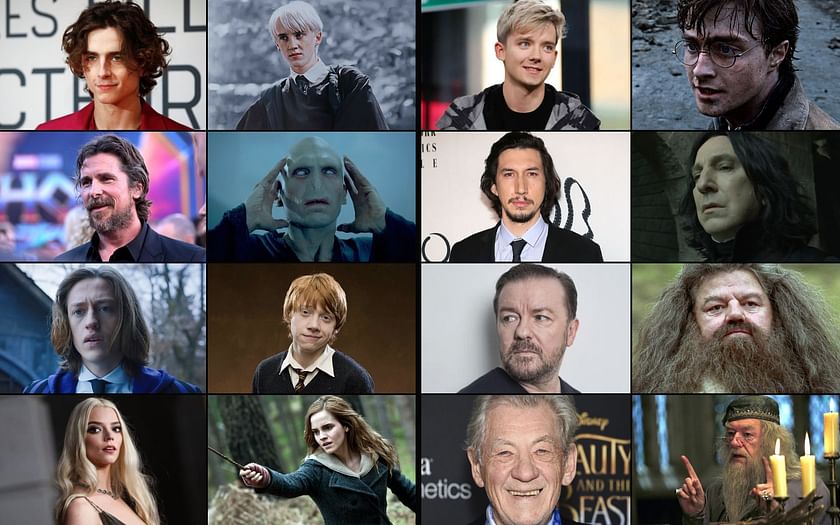 The Harry Potter Cast: Inspiring Future Generations of Actors
