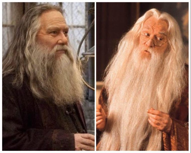 Aberforth Dumbledore: The Lesser-Known Brother Of Albus
