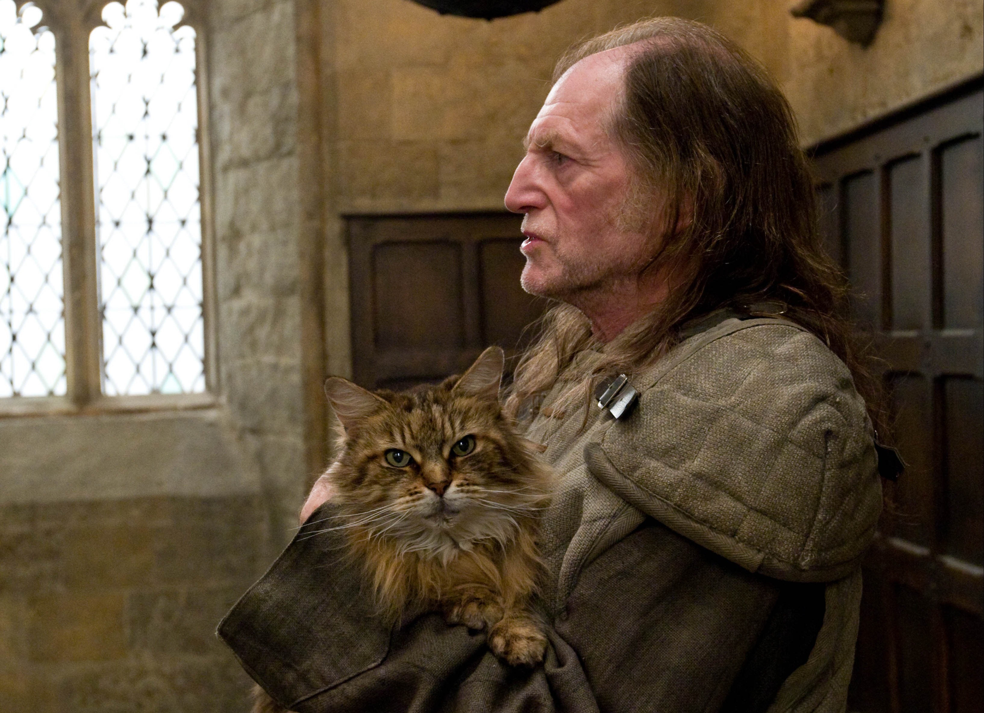 What are the characteristics of Argus Filch's cat?