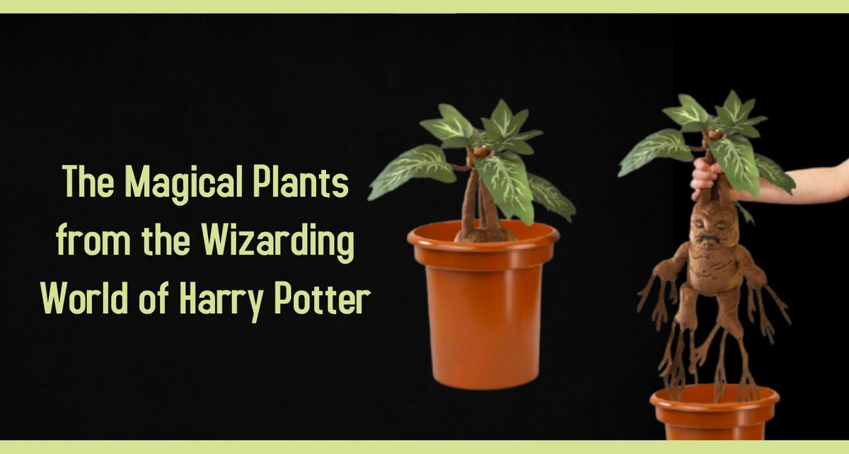 What are some iconic magical plants in Harry Potter? 2
