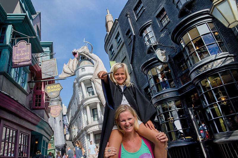 Harry Potter Books: The Enchanting World of Diagon Alley and Hogsmeade 2