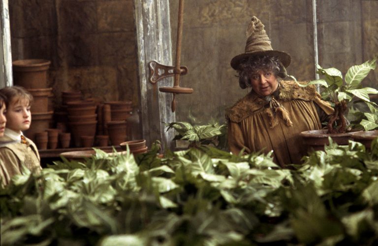 What Are The Traits Of The Hogwarts Herbology Teacher?