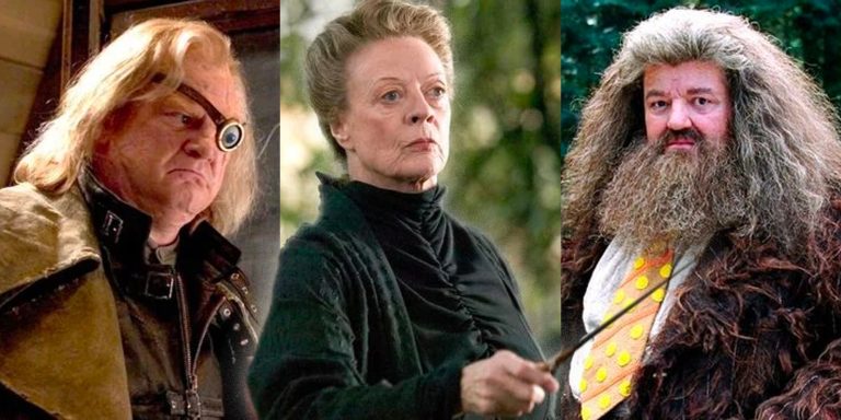 The Professors Of Hogwarts: Influential Characters In Education