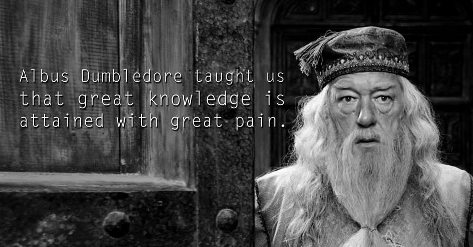Inspirational Lessons from Harry Potter Characters 2