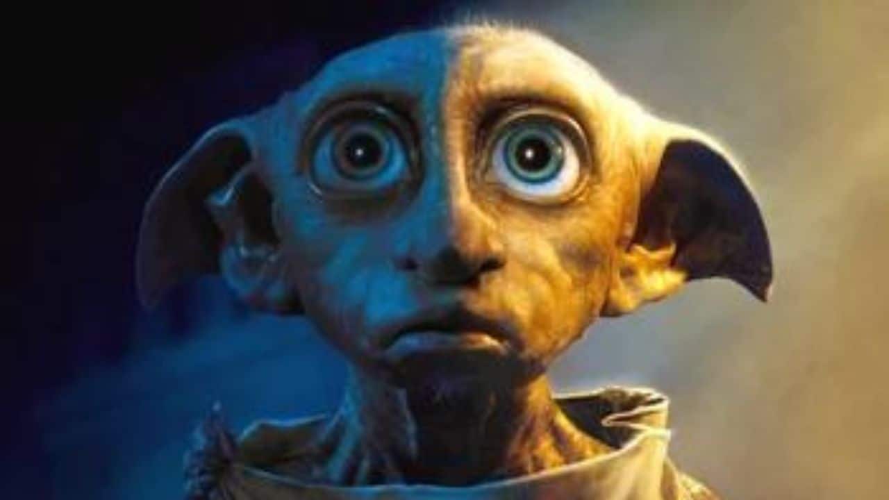 The Harry Potter Movies: The Legacy of Dobby the House-Elf 2