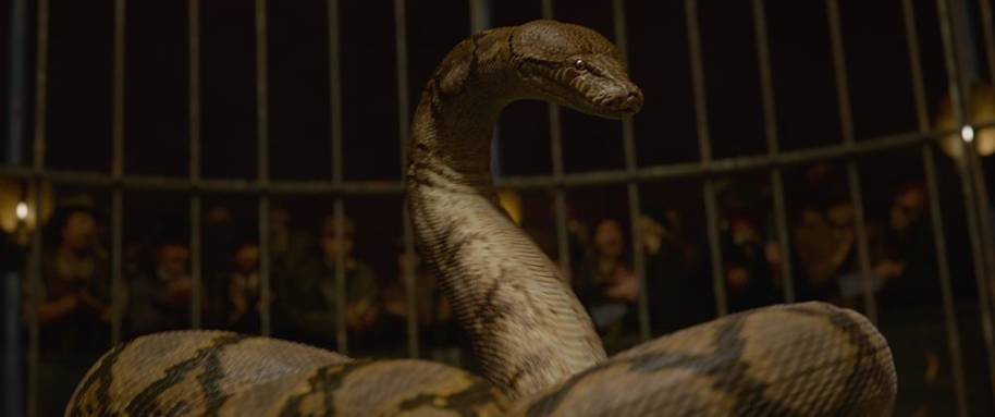 What is the significance of Nagini? 2