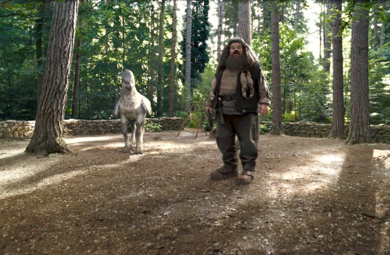 The Harry Potter Movies: A Guide To Hagrid’s Kindness And Love For Magical Creatures