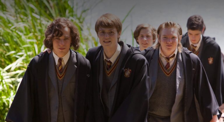 Friendships In The Harry Potter Universe