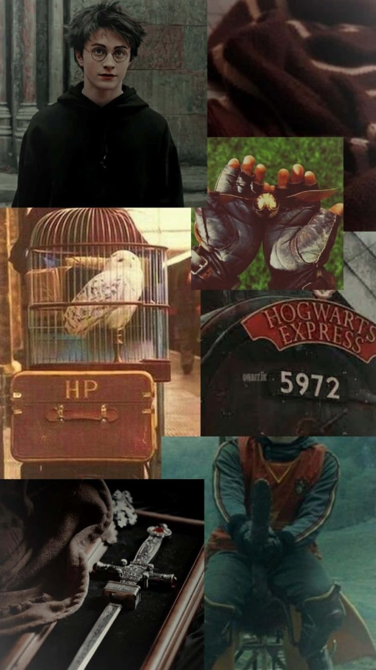 Journeying Through The Harry Potter Characters