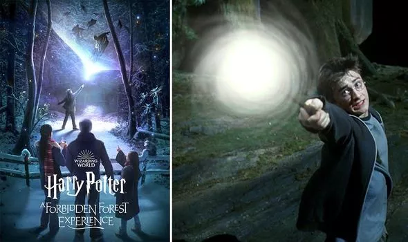The Cinematic Magic Of The Battle Of The Forbidden Forest In The Harry Potter Movies