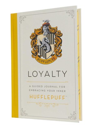 The Harry Potter Movies: A Friendship and Loyalty Guide 2