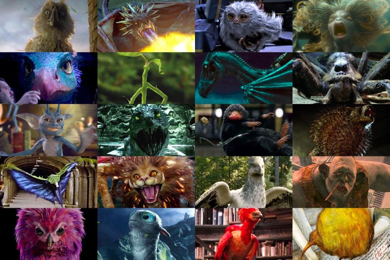 The Magical Creatures: Enchanting Beings Of The Wizarding World