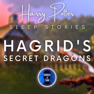 Harry Potter Audiobooks: The Perfect Bedtime Story 2
