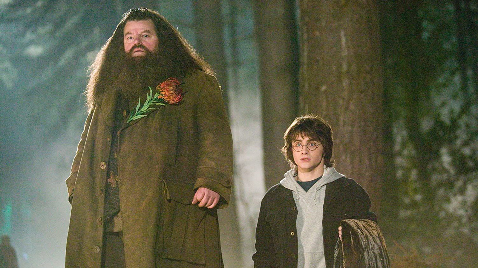 Who is the Giant Hagrid befriends? 2