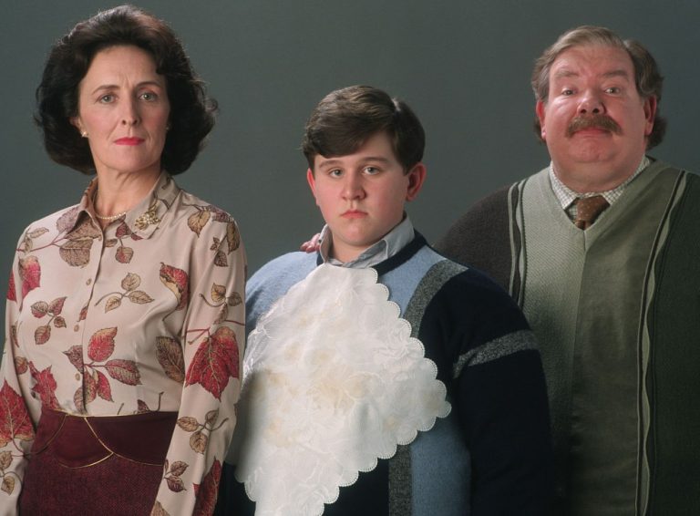 What Are The Names Of The Actors Who Played The Dursley Family?