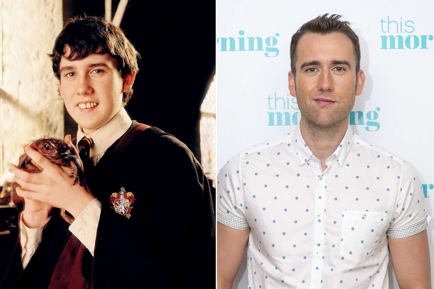 Neville Longbottom: From Underdog to Hero in Harry Potter