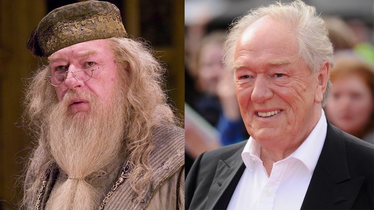 The Harry Potter Cast: Celebrating The Legacy Of Michael Gambon