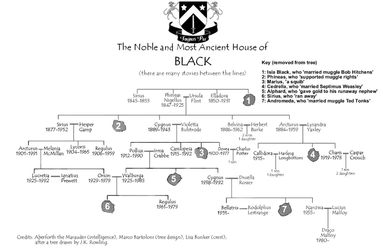 The Harry Potter Books: The Ancient and Noble House of Black 2