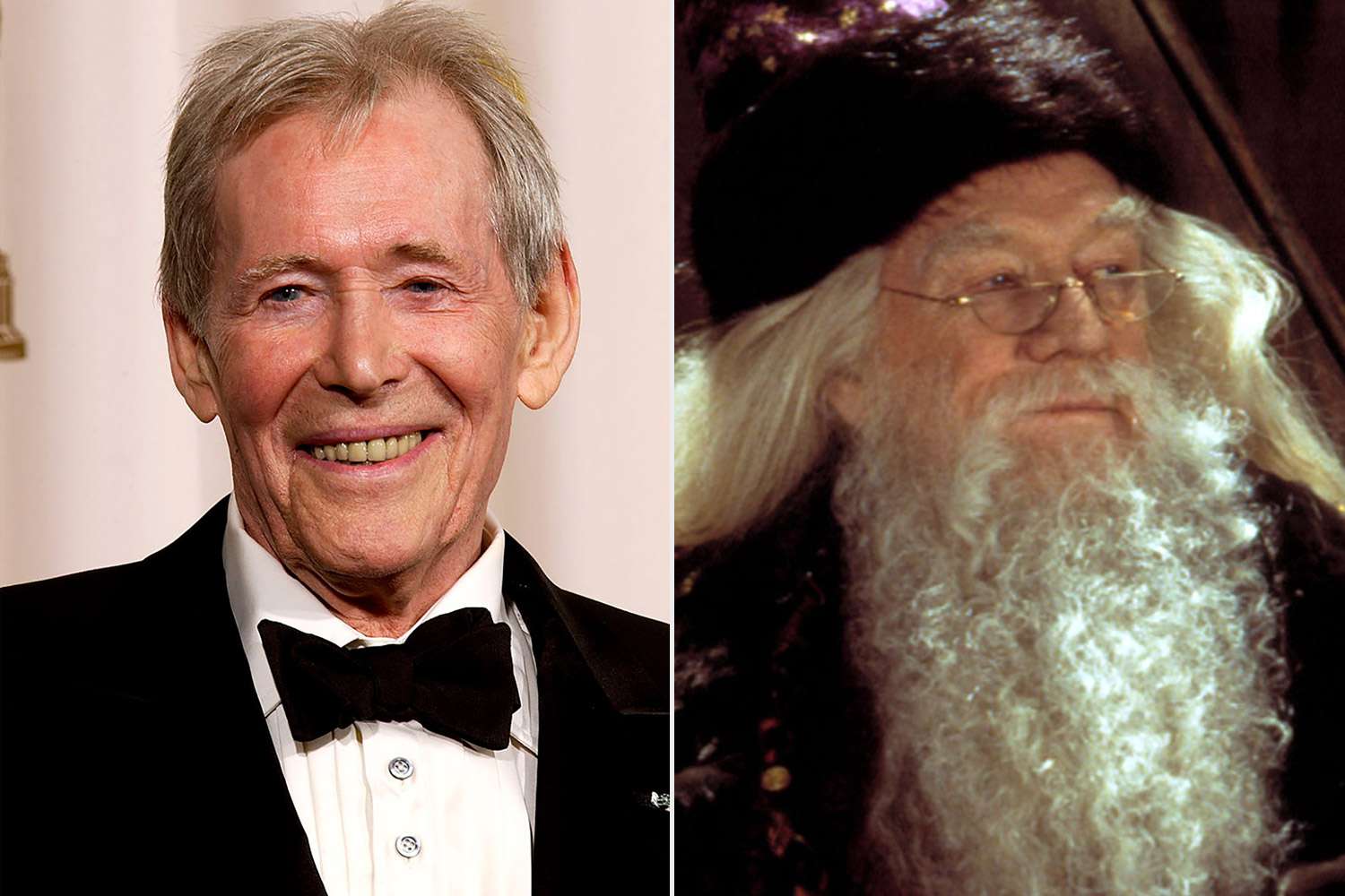 Who portrayed Albus Dumbledore in the Harry Potter movies? 2