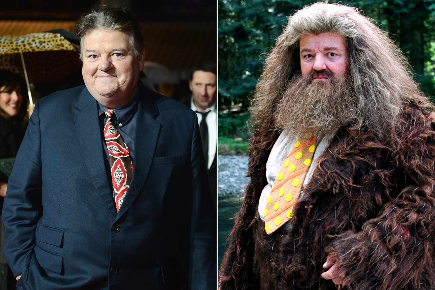 Who played Rubeus Hagrid in the Harry Potter franchise? 2