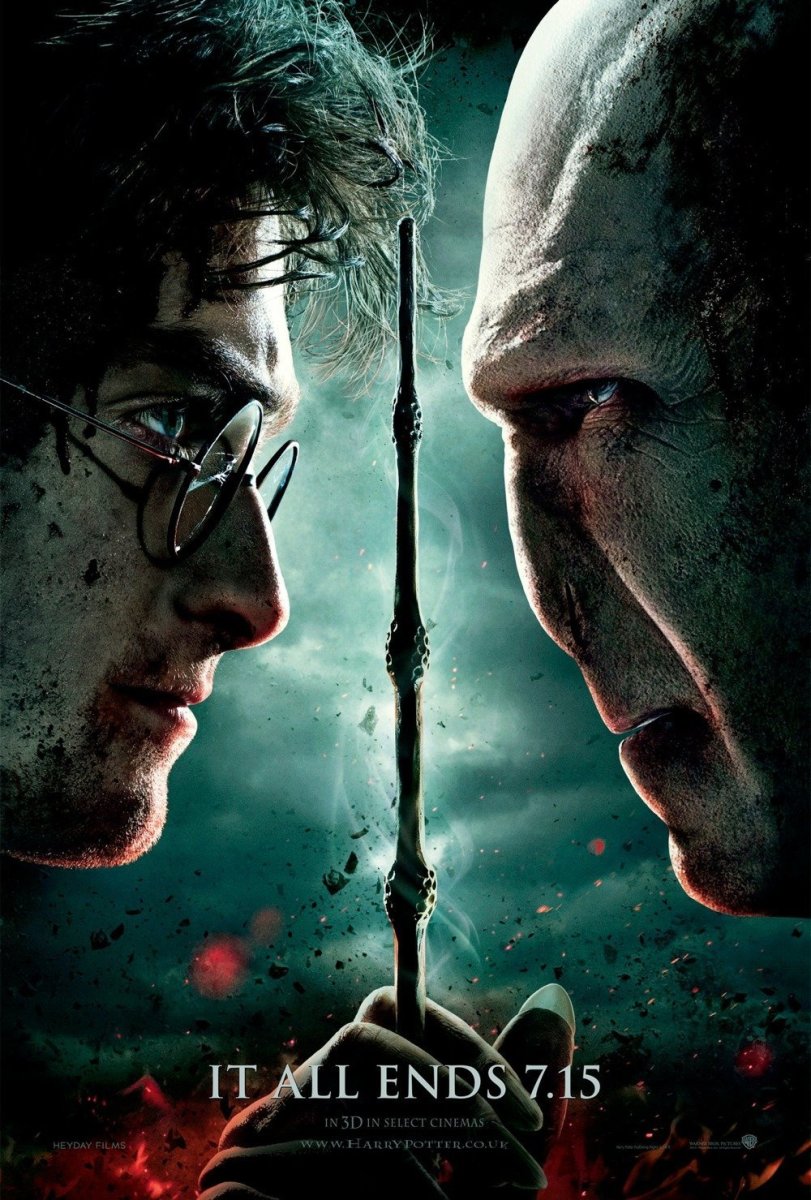 The Harry Potter Movies: The Captivating World of the Deathly Hallows 2