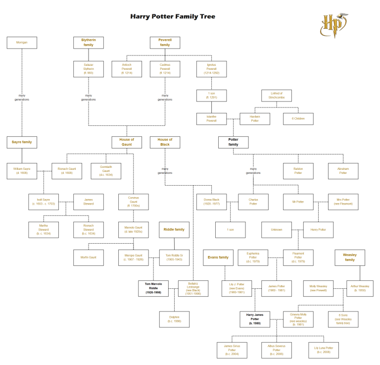 The Harry Potter Books: The Legacy Of The Gaunt Family And The Slytherin Bloodline