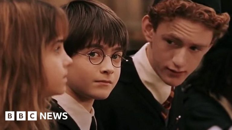 Who Played Percy Weasley In The Harry Potter Series?