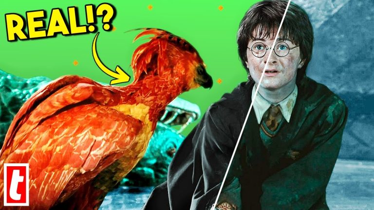 How Were The Magical Creatures And Characters Created Using CGI In The Harry Potter Movies?