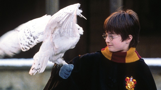 How Were The Magical Creatures And Characters Brought To Life In The Harry Potter Movies?