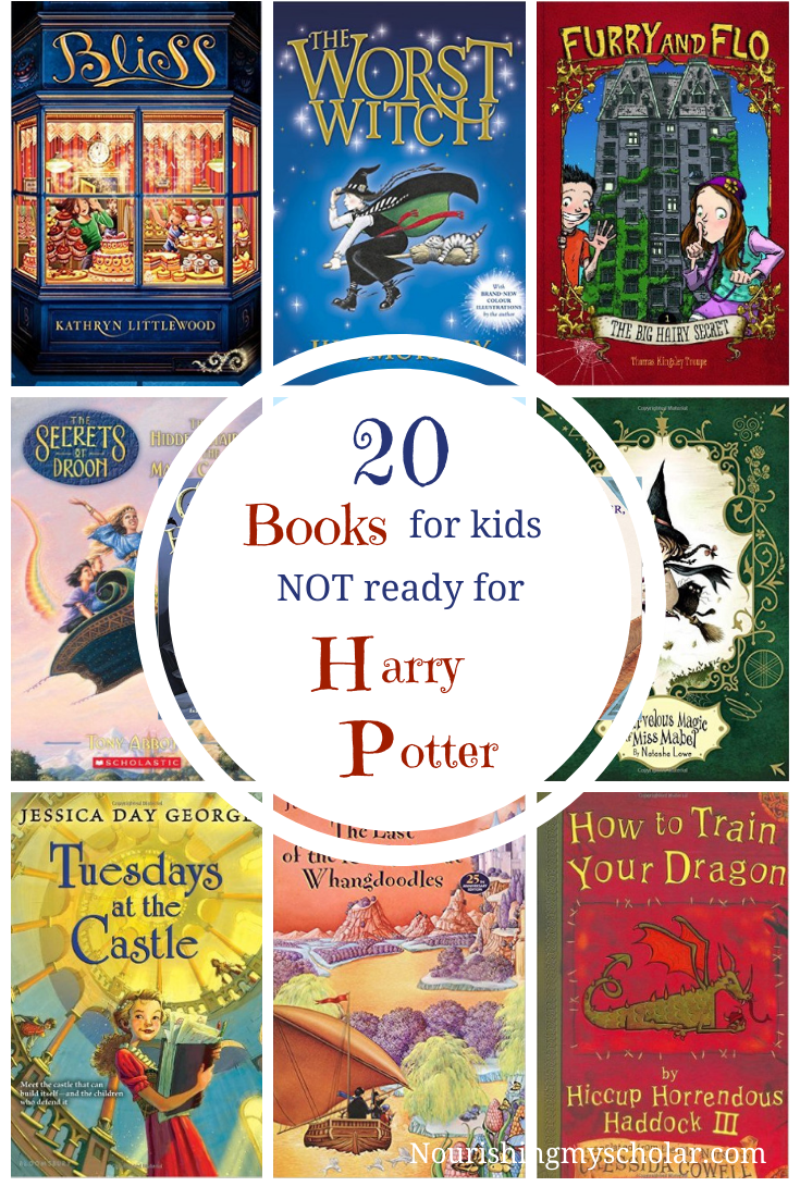 Are there any Harry Potter books for younger readers? 2