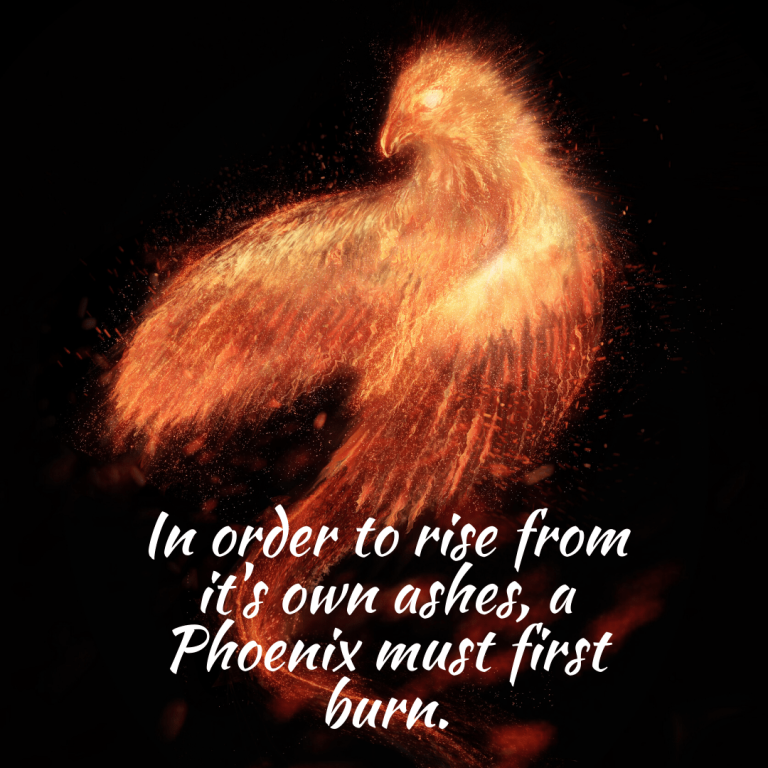 The Order Of The Phoenix: Rising Against Darkness