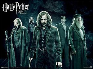 The Order Of The Phoenix: Harry Potter’s Allies And Heroes
