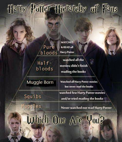 The Harry Potter Movies: A Guide to Muggle-Born and Pure-Blood Relations 2