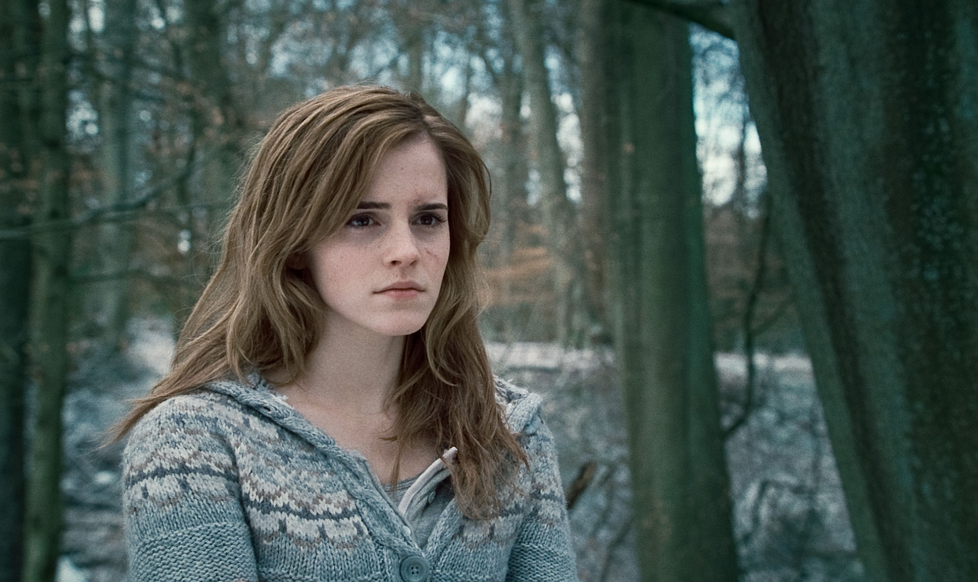The Cinematic Journey of Hermione Granger in the Harry Potter Movies 2