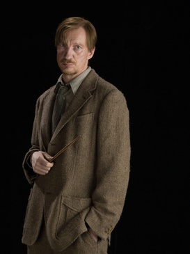 Who Played Remus Lupin In The Harry Potter Series?