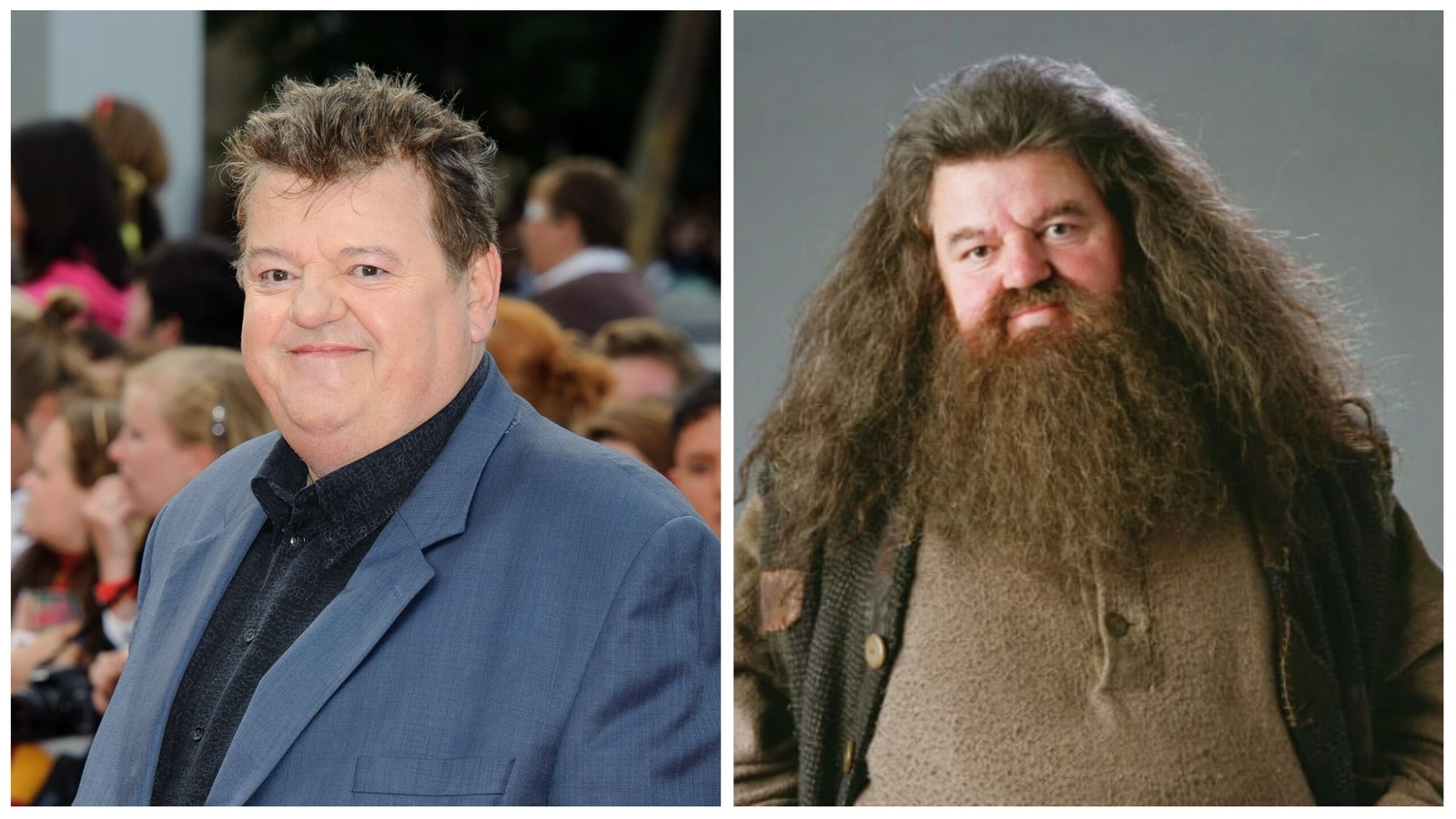 Who portrayed Rubeus Hagrid in the Harry Potter series? 2