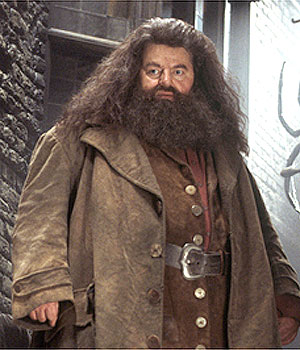Rubeus Hagrid: The Gentle Giant Of Harry Potter