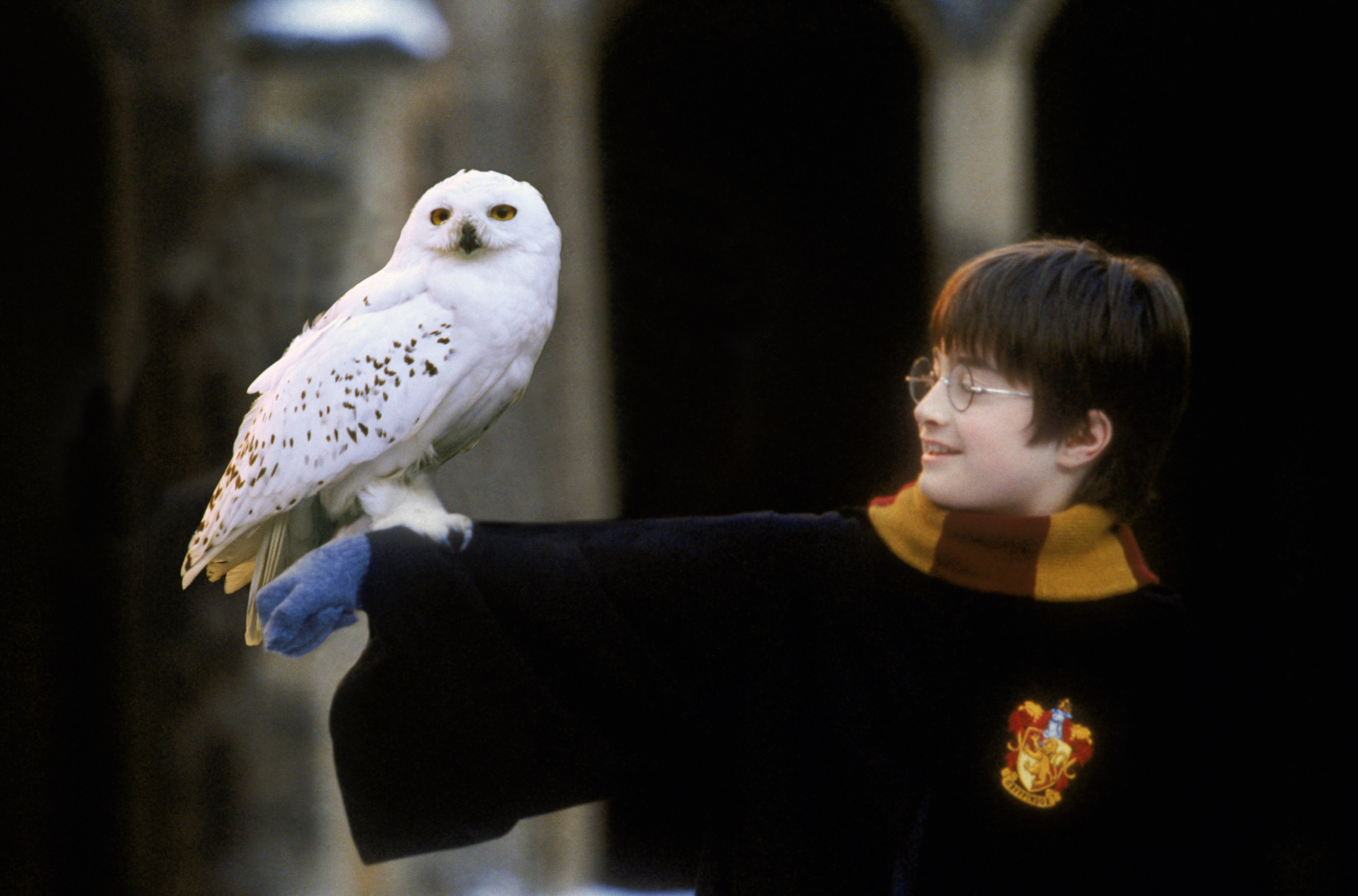 The Animal Companions of Harry Potter Characters 2