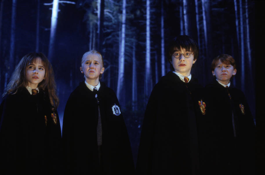 The Forbidden Forest and Its Creatures: Harry Potter Characters 2