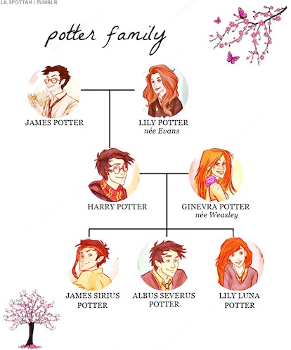 What are some iconic wizarding families in Harry Potter? 2