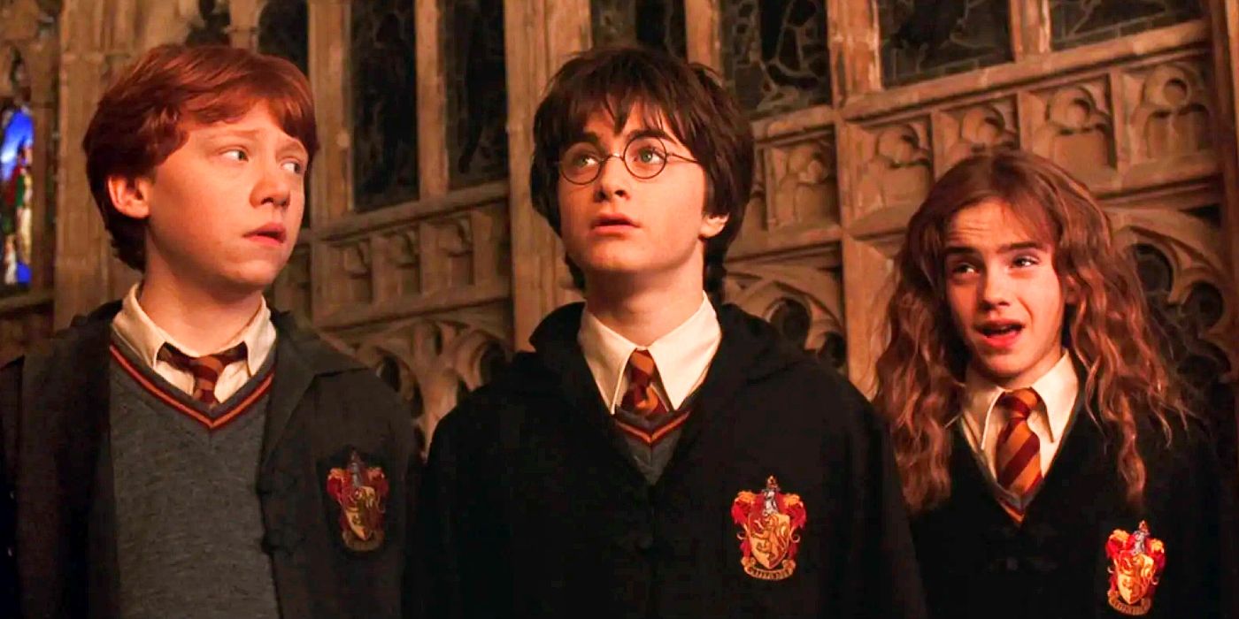 A Legacy of Wizardry: The Enduring Harry Potter Cast 2