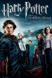 Harry Potter Movies: A Guide to Themes of Friendship and Family 2