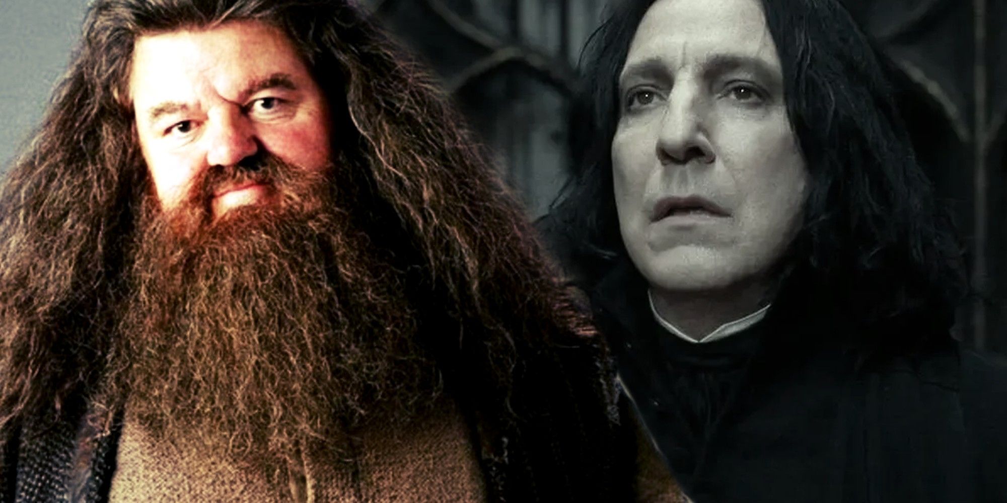 Enchanting the World: The Talented Stars of Harry Potter 2